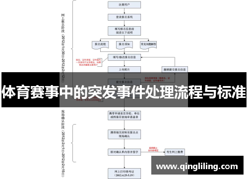 体育赛事中的突发事件处理流程与标准